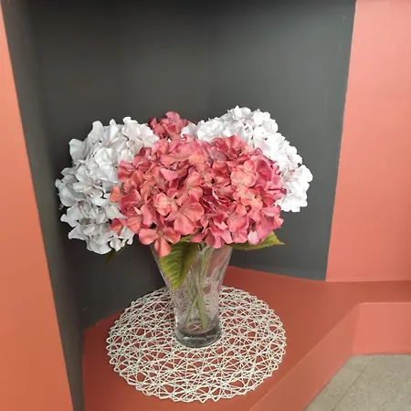 Olimpicto, Ideale Per I Tuoi Eventi A Διαμέρισμα Τορίνο